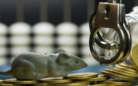 文化财经外盘期货